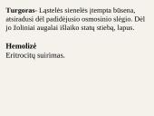 Medžiagų pernaša ląstelėje 10 puslapis