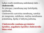 Plazminės membranos sandara 11 puslapis