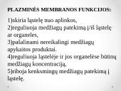 Plazminės membranos sandara 3 puslapis