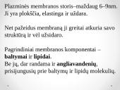 Plazminės membranos sandara 5 puslapis