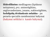 Plazminės membranos sandara 10 puslapis