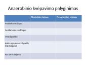 Anaerobinis kvėpavimas 18 puslapis