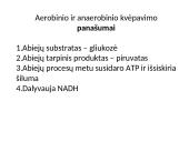 Anaerobinis kvėpavimas 19 puslapis