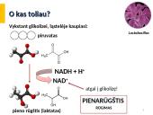 Anaerobinis kvėpavimas 4 puslapis