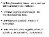 Vidaus terpė – tai aplinka, kurioje funkcionuoja ląstelės, audiniai, organai ir organų sistemos 11 puslapis