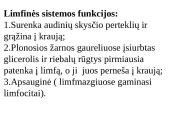 Vidaus terpė – tai aplinka, kurioje funkcionuoja ląstelės, audiniai, organai ir organų sistemos 12 puslapis