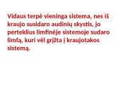 Vidaus terpė – tai aplinka, kurioje funkcionuoja ląstelės, audiniai, organai ir organų sistemos 13 puslapis