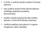 Vidaus terpė – tai aplinka, kurioje funkcionuoja ląstelės, audiniai, organai ir organų sistemos 10 puslapis