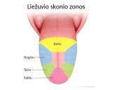 Virškinimas burnoje ir skrandyje (skaidrės) 7 puslapis