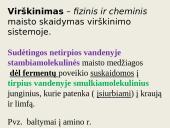 Virškinimo procesas ir reikšmė 2 puslapis