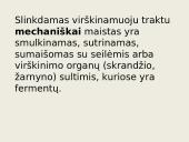 Virškinimo procesas ir reikšmė 4 puslapis