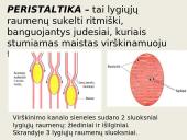 Virškinimo procesas ir reikšmė 5 puslapis