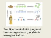 Virškinimo procesas ir reikšmė 7 puslapis