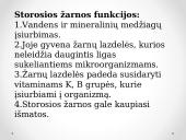 Virškinimo procesas žarnyne 13 puslapis