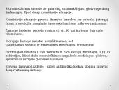 Virškinimo procesas žarnyne 14 puslapis