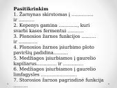 Virškinimo procesas žarnyne 15 puslapis
