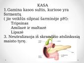 Virškinimo procesas žarnyne 3 puslapis