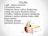 Virškinimo procesas žarnyne 4 puslapis