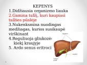 Virškinimo procesas žarnyne 5 puslapis