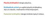 Dujų apykaita žmogaus organizme 14 puslapis