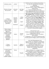 11 klasės autorių konspektas 2 puslapis