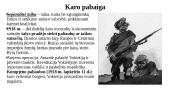 Pirmas pasaulinis karas 1914-1918 m. 13 puslapis