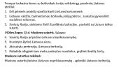 Lietuvos valstybės kūrimasis ir nepriklausomybės kovos 13 puslapis