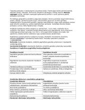 Naujųjų laikų pradžios V. Europos visuomenė 2 puslapis