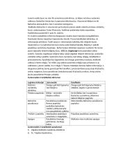 Reformacija ir kontrreformacija XVI a. 2 puslapis