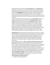 Reformacija ir kontrreformacija XVI a. 3 puslapis