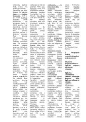 Glaustas pasiruošimas pedagogikos egzaminui 2 puslapis