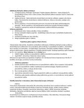 Viduramžių Europos christianizacija 3 puslapis