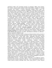 Keletas pedagogikos temų 11 puslapis