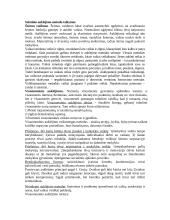 Keletas pedagogikos temų 7 puslapis