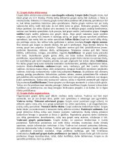 Personalo vadyba. Puiki teorija 5 puslapis