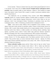 Piligrimystė referatas 11 puslapis