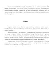 Piligrimystė referatas 13 puslapis