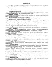 Sociologijos dalyko teorija 2 puslapis