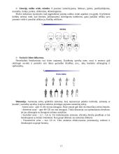 Sociologijos dalyko teorija 11 puslapis