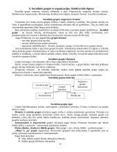 Sociologijos dalyko teorija 13 puslapis