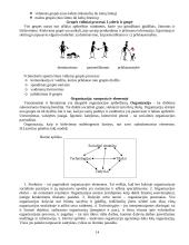 Sociologijos dalyko teorija 14 puslapis