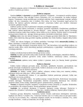 Sociologijos dalyko teorija 8 puslapis