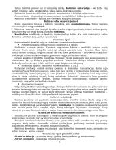 Sociologijos dalyko teorija 9 puslapis