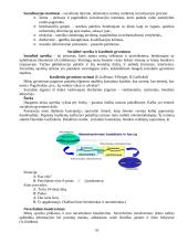 Sociologijos dalyko teorija 10 puslapis