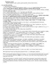 Rašybos kartojimas 3 puslapis