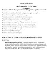 Žodžių darybos kartojimas