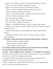 Žodžių darybos kartojimas 3 puslapis