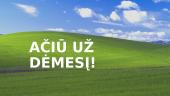 Kompiuterio spausdintuvas 13 puslapis