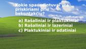 Kompiuterio spausdintuvas 10 puslapis