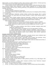 Strateginio valdymo mokslas 2 puslapis